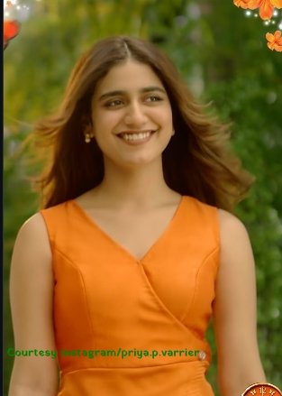 Priya Prakash Varrier: డ్రెస్ కలర్ గురించి విచిత్రమైన ప్రశ్న.. యూట్యూబర్‌కు ప్రియా ప్రకాష్ వారియర్ అదిరిపోయే కౌంటర్